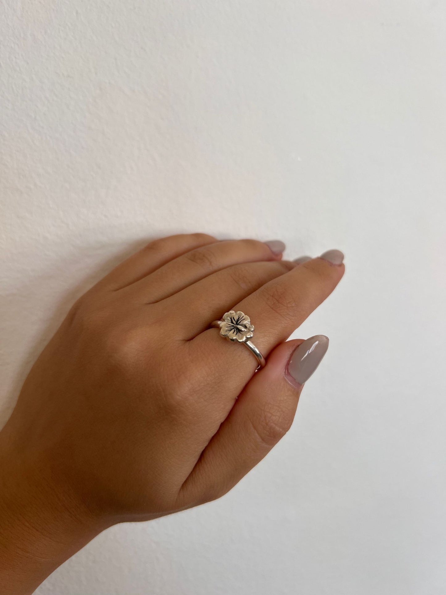 Hibi Ring