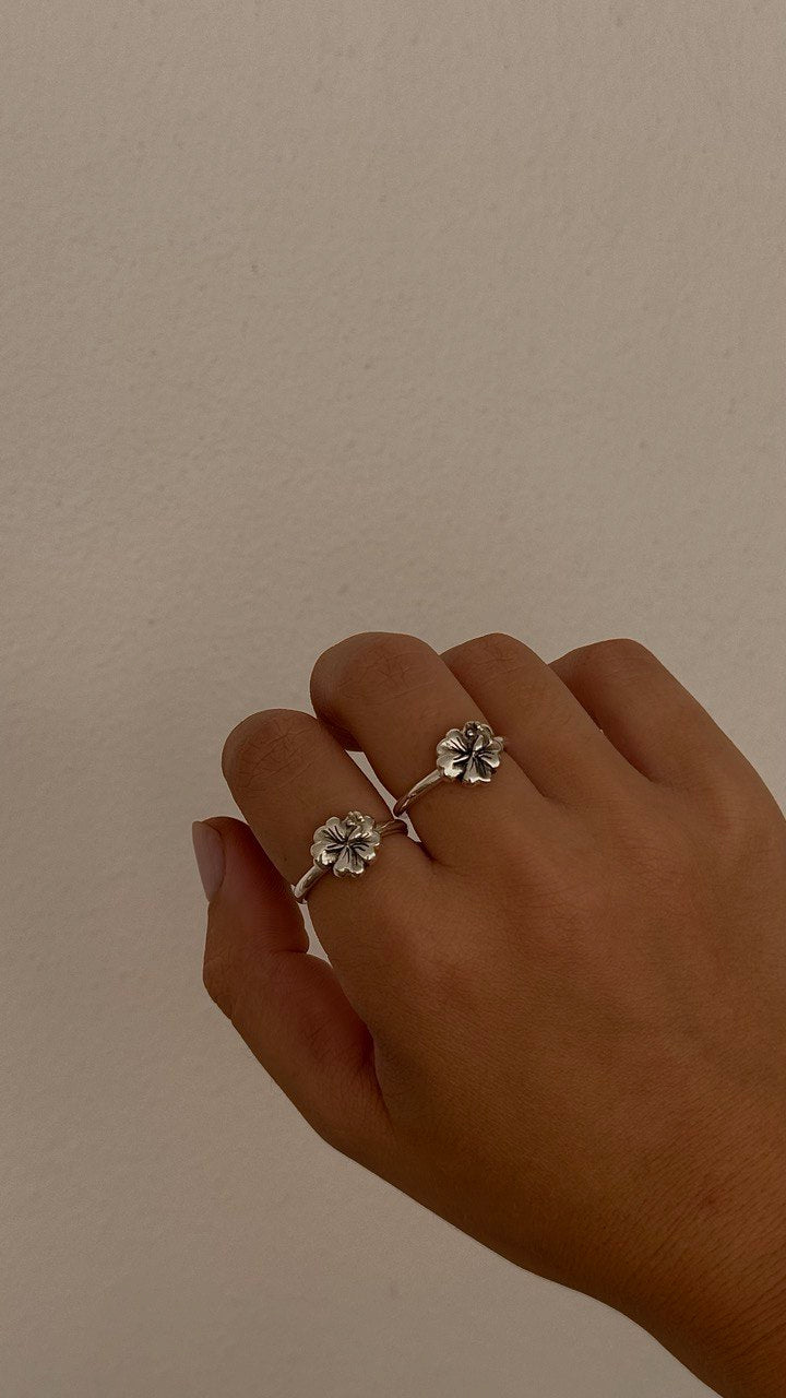 Hibi Ring